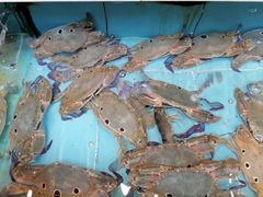 -宜宾海鲜酒家·三十年老字号