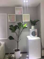 -久匠·野生眉半永久纹眉