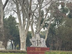 -武汉大学-樱园