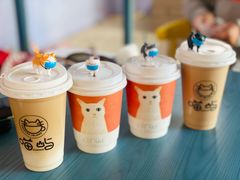 -喵屿·大理花园猫咖