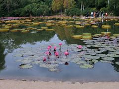 -中国科学院西双版纳热带植物园