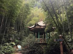 -竹野·上|老字号全竹宴