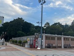 -九龙公园