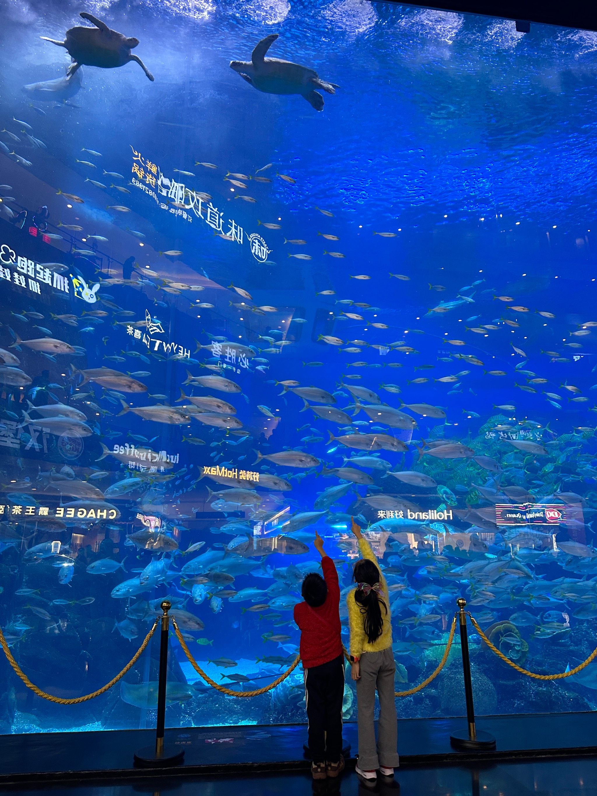 米加小镇水族馆图片