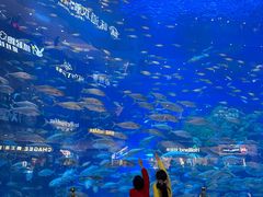 -成都浩海立方海洋公园