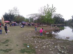 -两河城市森林公园