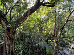 -七仙岭温泉国家森林公园