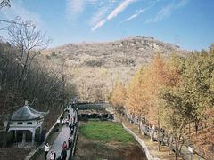 -白水寺森林公园