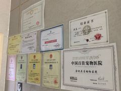 -关爱动物医院·心脏·中兽医·异宠(金牛路分院)