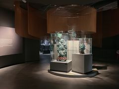 -盘龙城国家考古遗址公园