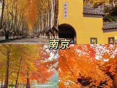 -塔川景区