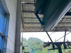 -野象谷景区