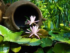 -国家植物园南园