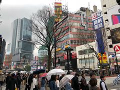 -涩谷区