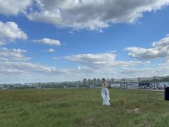 -盐城丹顶鹤湿地生态旅游区