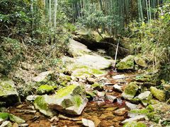 -莫干山风景区