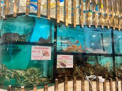 -富临皇宫(石门店)