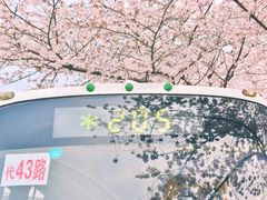 -上海南浦大桥长途旅游客运站