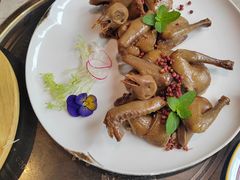 -新渝城·川菜·火锅(区庄店)