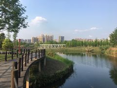 -眉山湿地公园(东坡区)