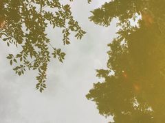 -杭州西湖风景名胜区-三生石