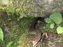 -秦岭终南山世界地质公园翠华山景区