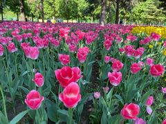 -长春公园(普阳街道)