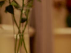 -馨园villa融合菜(东山店)