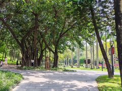 -广州雕塑公园