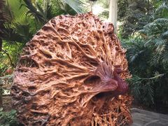 -龙达温泉生态城