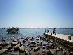 -宝安西湾红树林湿地公园