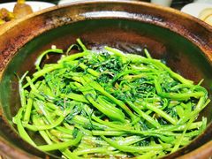 -熠盛粤味·顺德桑拿鸡(永康路店)