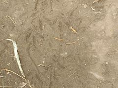 -大觉寺-停车场