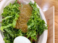 -油梨树 AVOCADO TREE(亮马桥店)