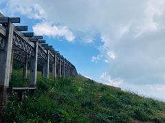 -白草畔自然风景区