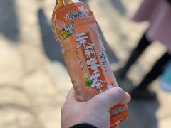 -白鹿原·白鹿仓