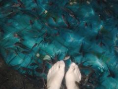 -庐山天沐温泉度假村