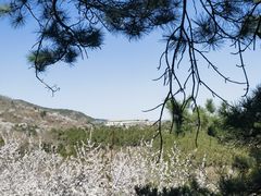 -北京西山国家森林公园