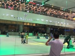 -TheRink大零溜冰场(IFS国金中心店)