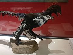 -国家自然博物馆