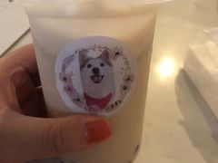 -Husky Go! 哈士奇体验馆·宠物咖啡厅狗咖