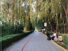 -西安汉城湖景区