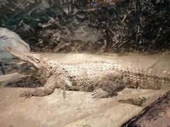 -新疆天山野生动物园