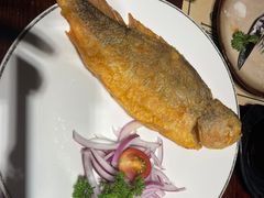 -马迭尔德式西餐精酿啤酒屋(中央大街店)