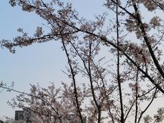 -映月湖中央公园