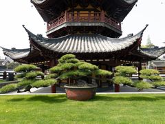 -龙华寺