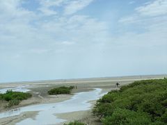 -北海金海湾红树林生态旅游区