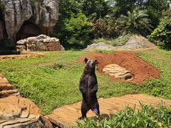 -海南热带野生动植物园