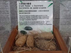 -石排湾郊野公园