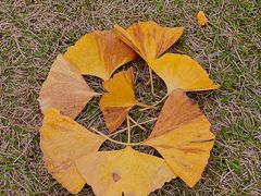 -重庆中央公园(渝北区)